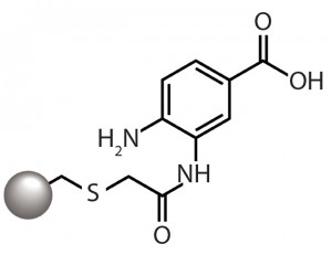 Figure 1: The aminobenzoic acid ligand of the CMM HyperCel mixed-mode cation exchanger provides cation-exchange functionality through the carboxyl group and hydrophobicity-based binding through the aromatic ring.