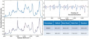 Figure 1: Representative Raman spectra of MAbs A and B in formulations at 25 °C (left panel, with legends for MAb identity); second-derivative overlay of Raman spectra for MAbs A and B (top right panel); and comparison of deconvoluted secondary-structure percentages for MAbs A and B (bottom right panel)