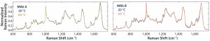 Figure 4A: Overlay of Raman spectra for MAb A (left panel) and MAb B (right panel) at indicated temperatures along thermal ramping study from 20 °C to 90 °C