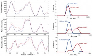 Figure 8: Raman spectra in disulfide region (left panel) and corresponding size distribution of MAb B (right panel) upon isothermal incubation at indicated temperatures: 55 °C, 60 °C, and 65 °C